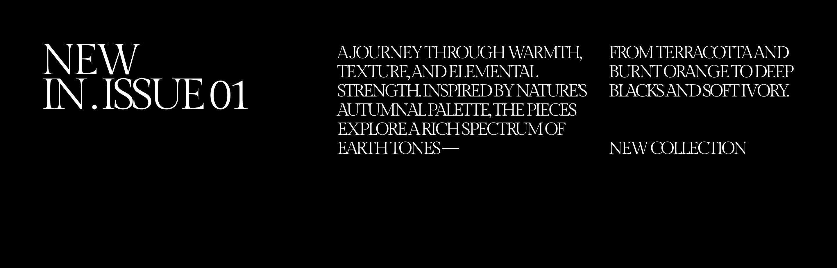 130725_des_newin_m_02