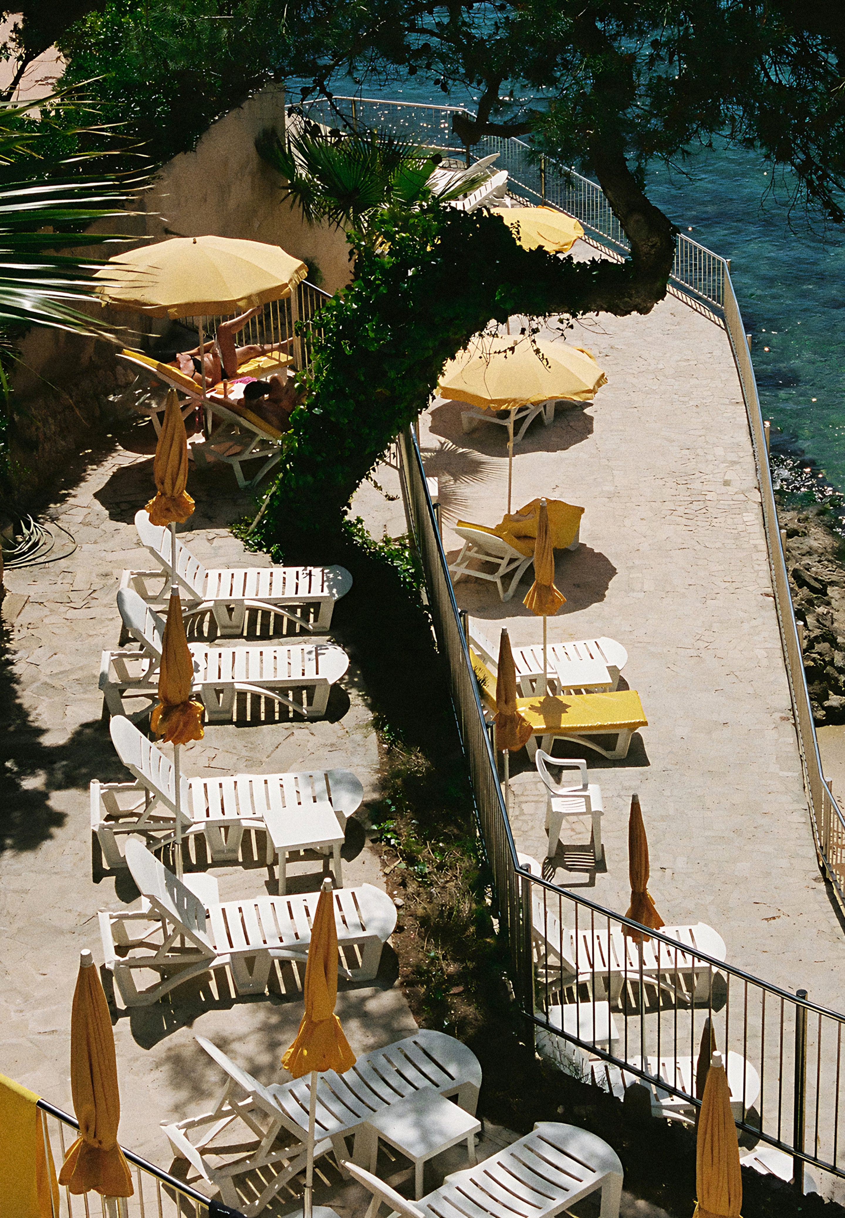 180525_des_robin_scalpers_05