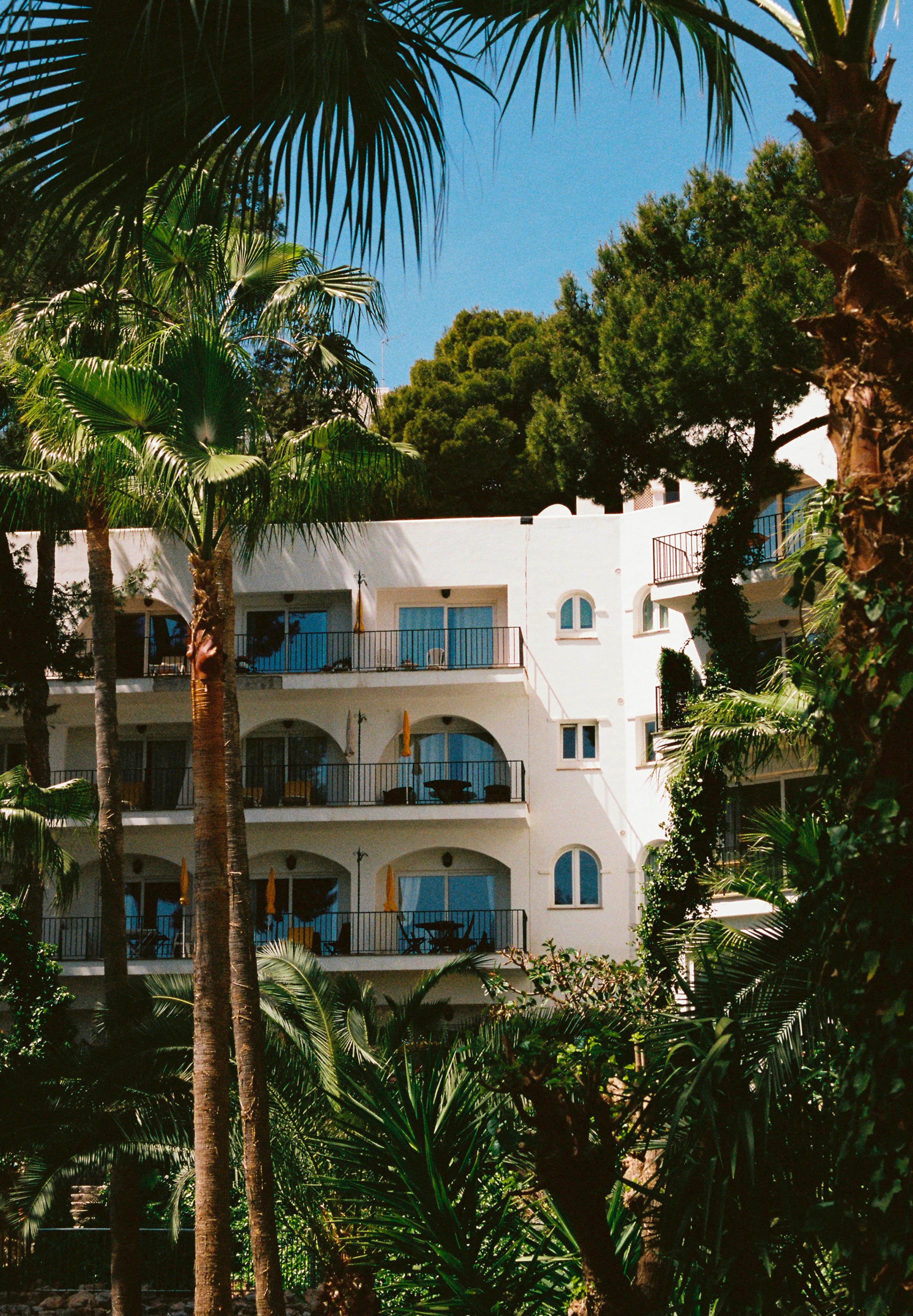 180525_des_robin_scalpers_16