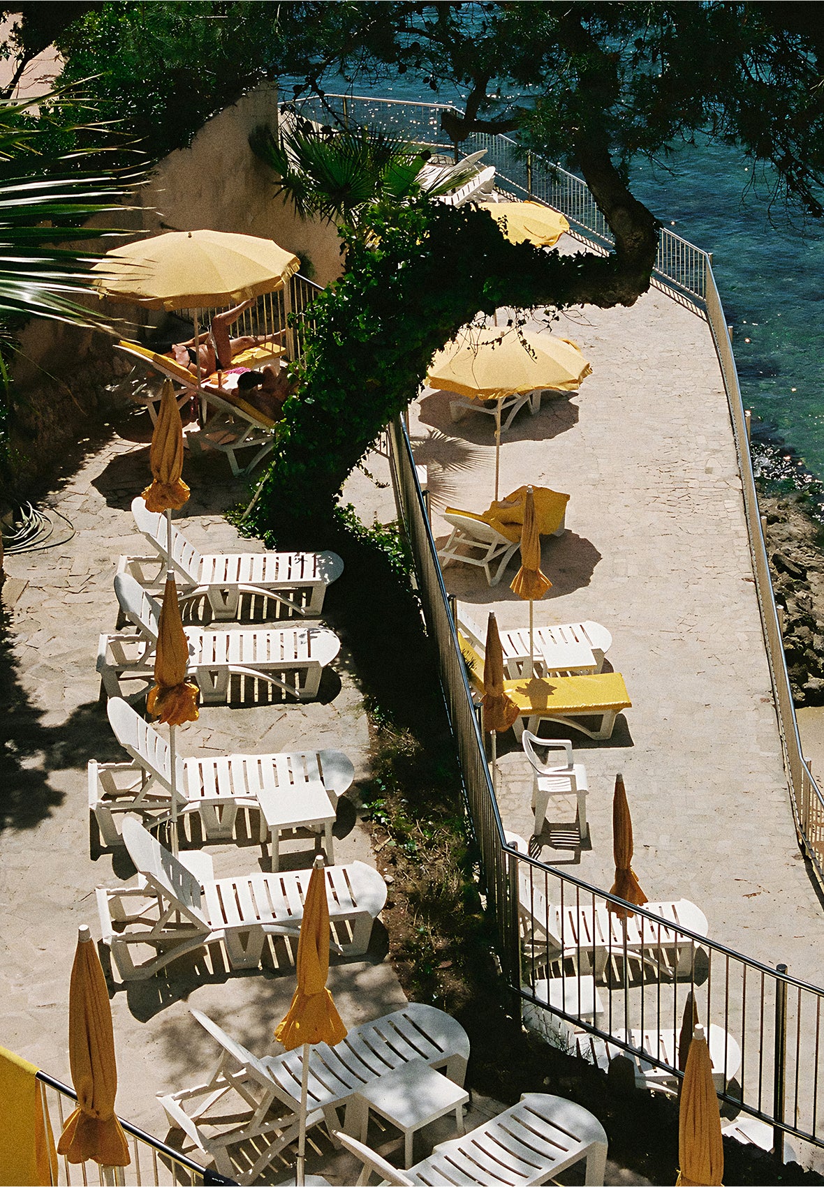 180525_mob_robin_scalpers_05