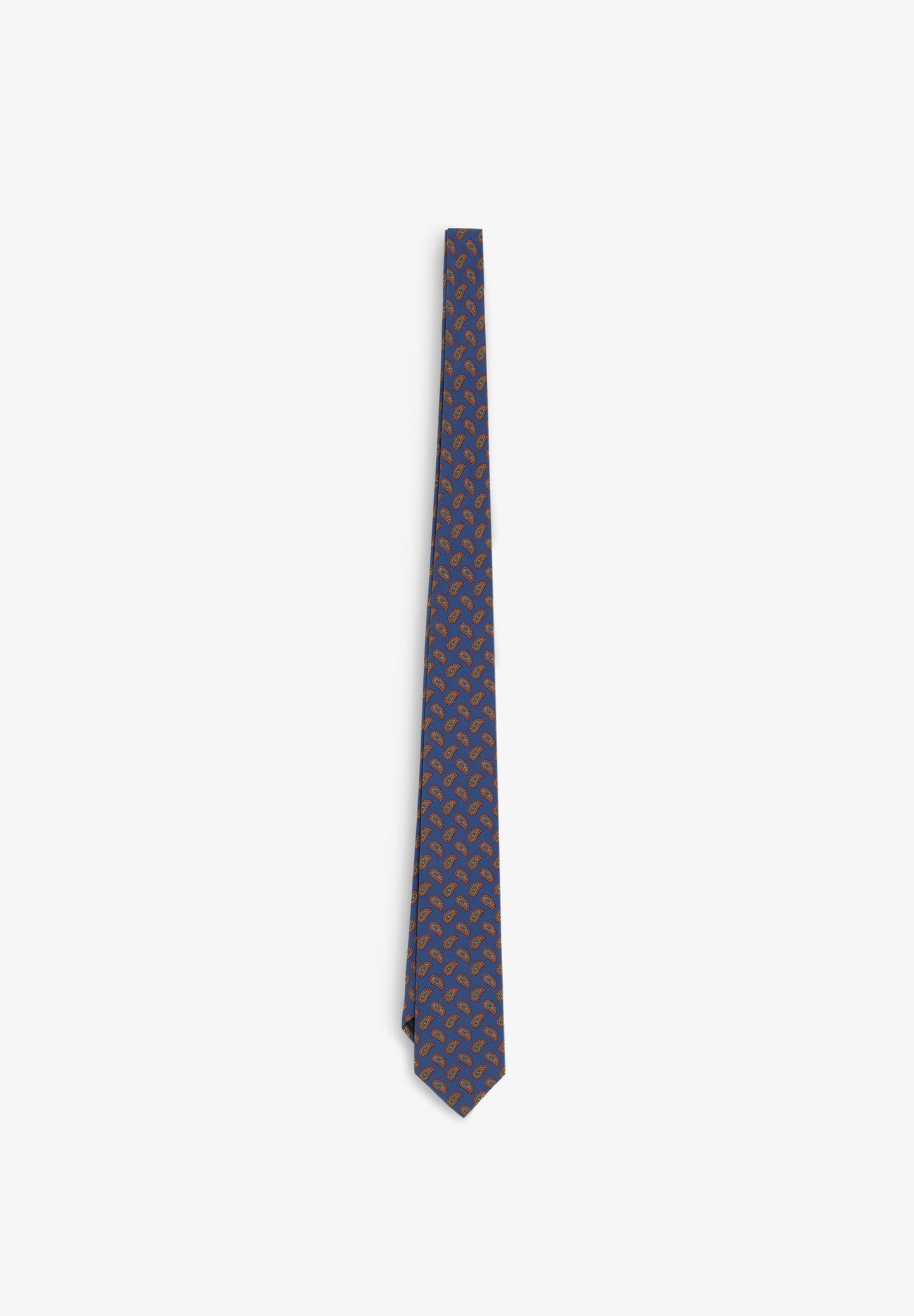 SCPAISLEY TIE