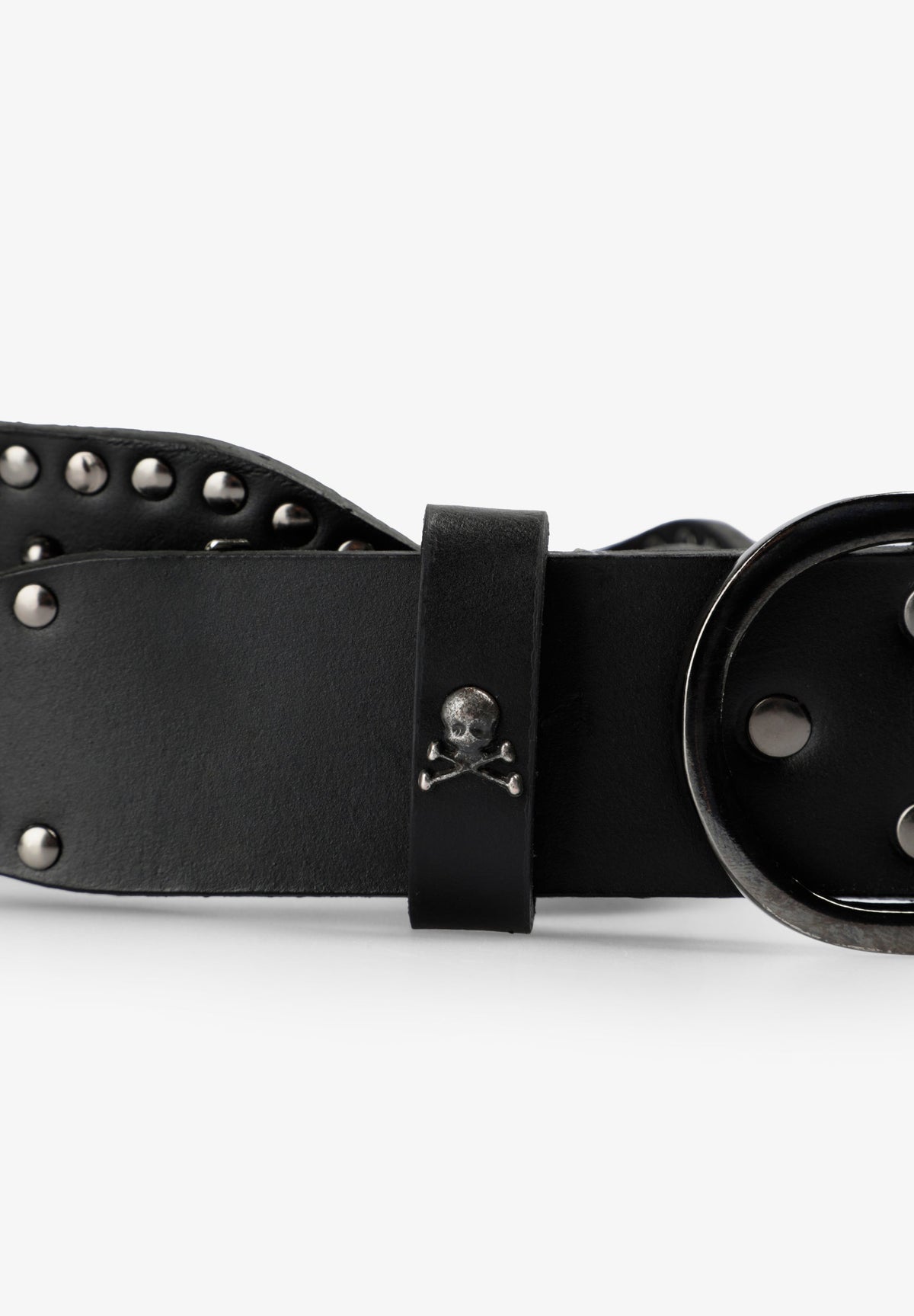 SCWAVESFLOWERS BELT