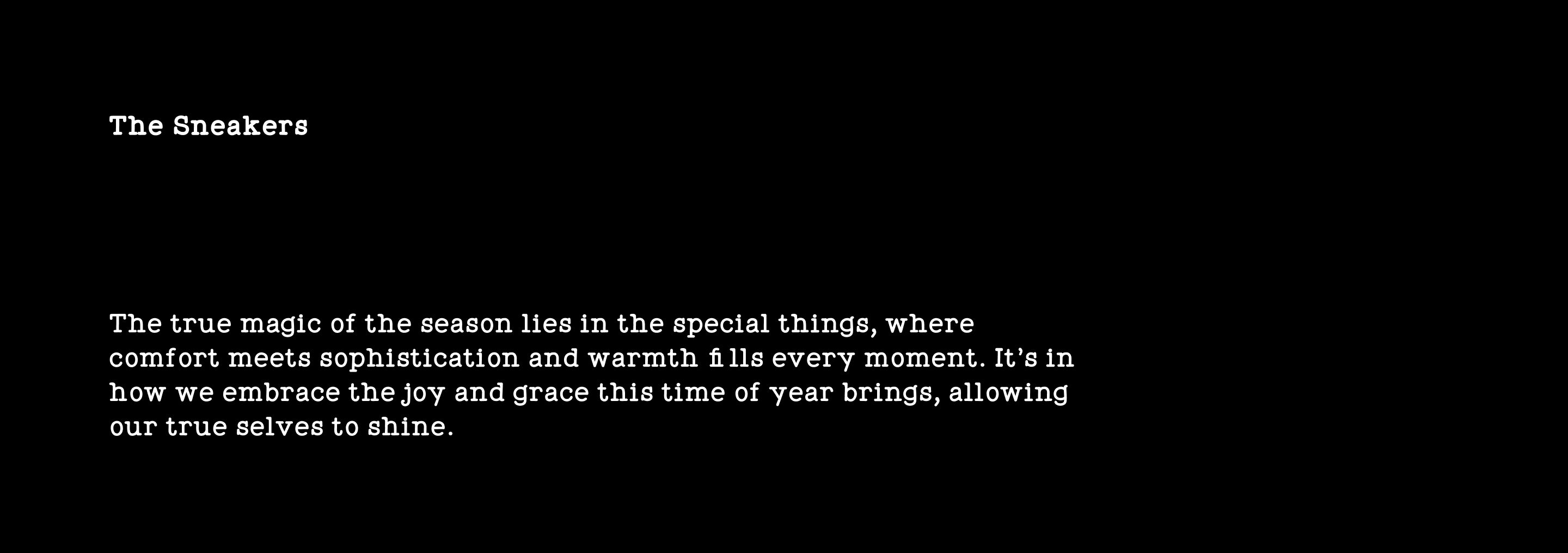 des 161225_giftguide_m_13