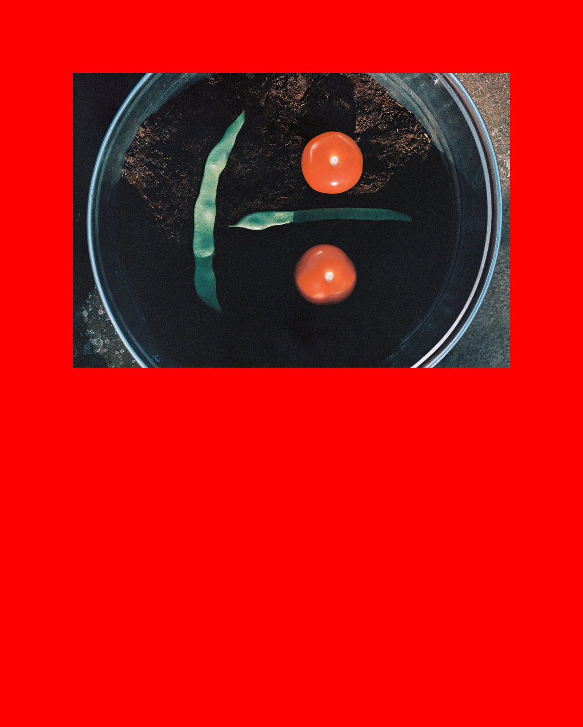 des_121026_campana_kids_09