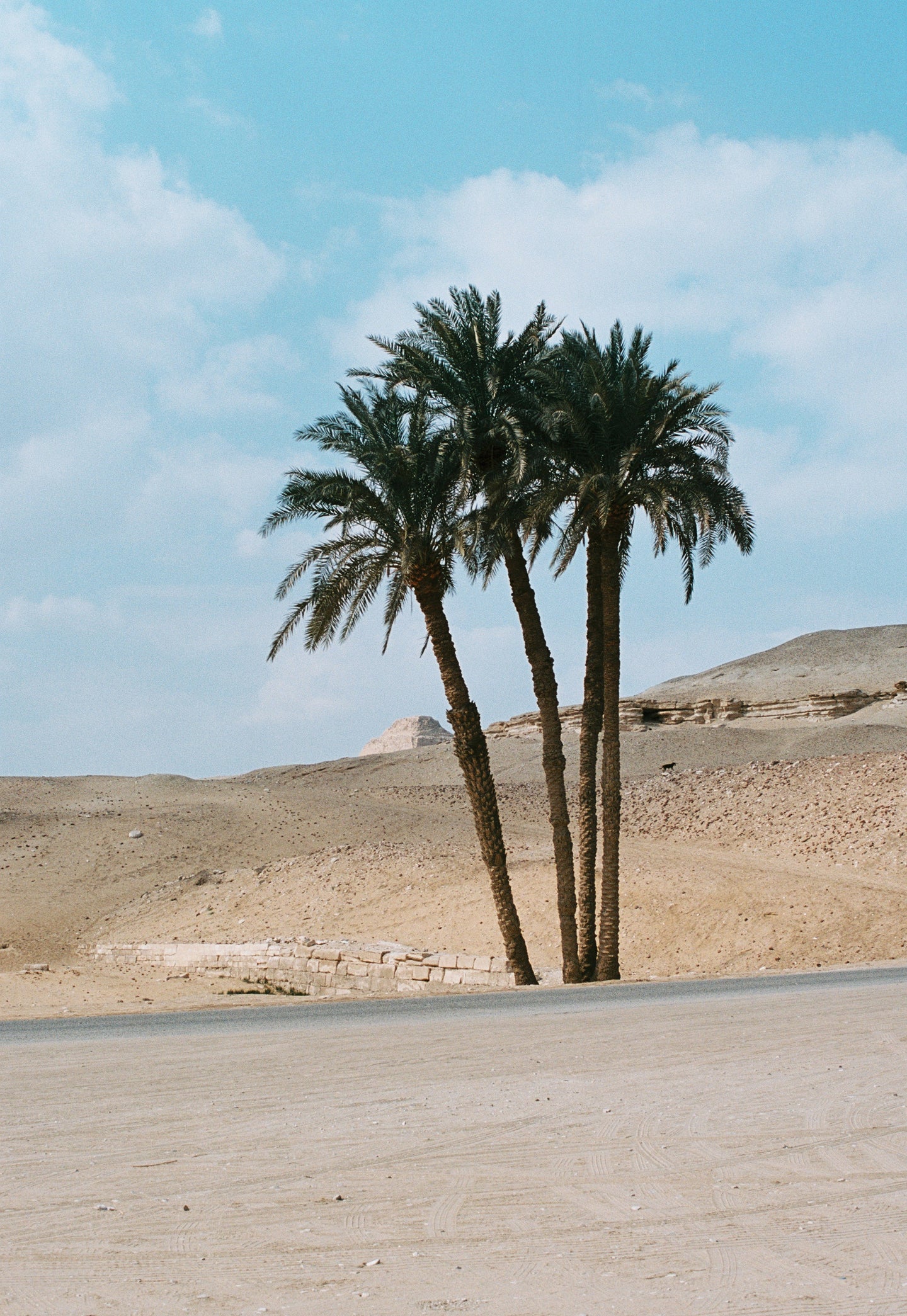 ASYMMETRIC BROCADE WAISTCOAT